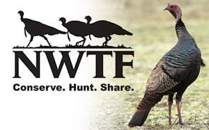 Wild Turkey Federation